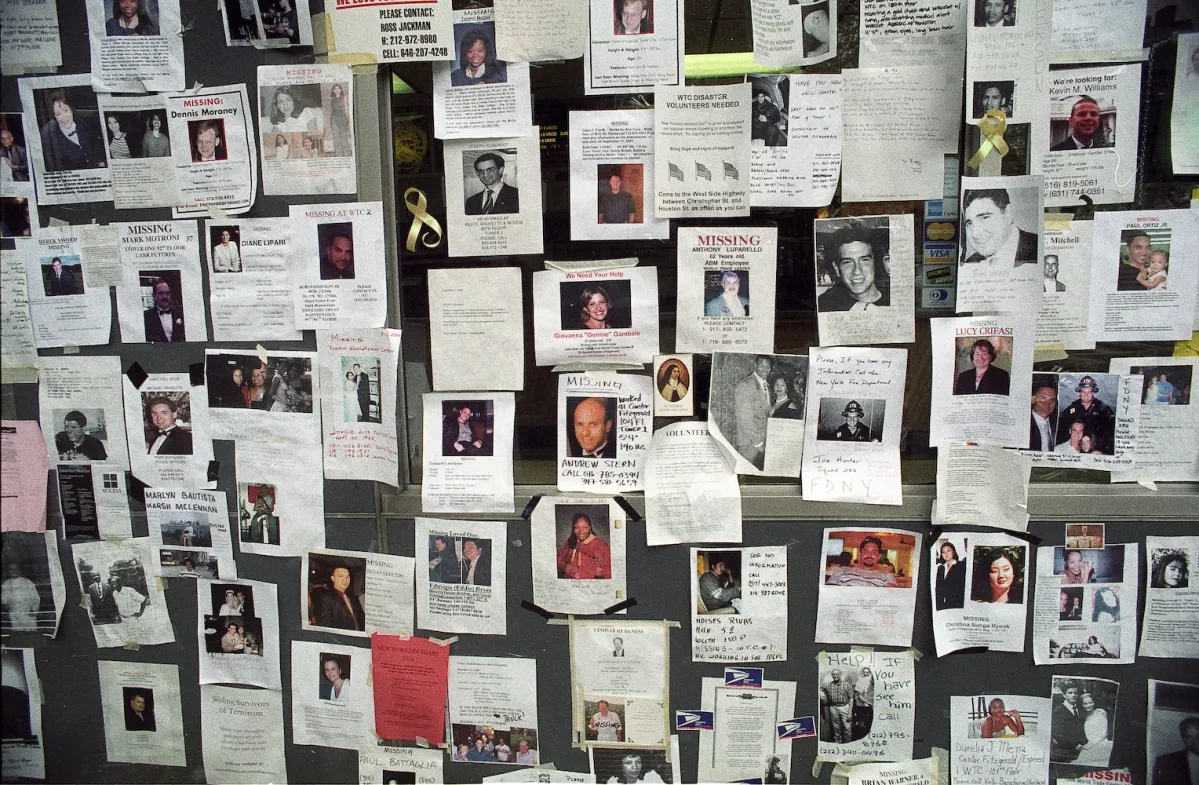 A community bulletin board with a missing person flyer pinned among other local notices, photographed in daylight