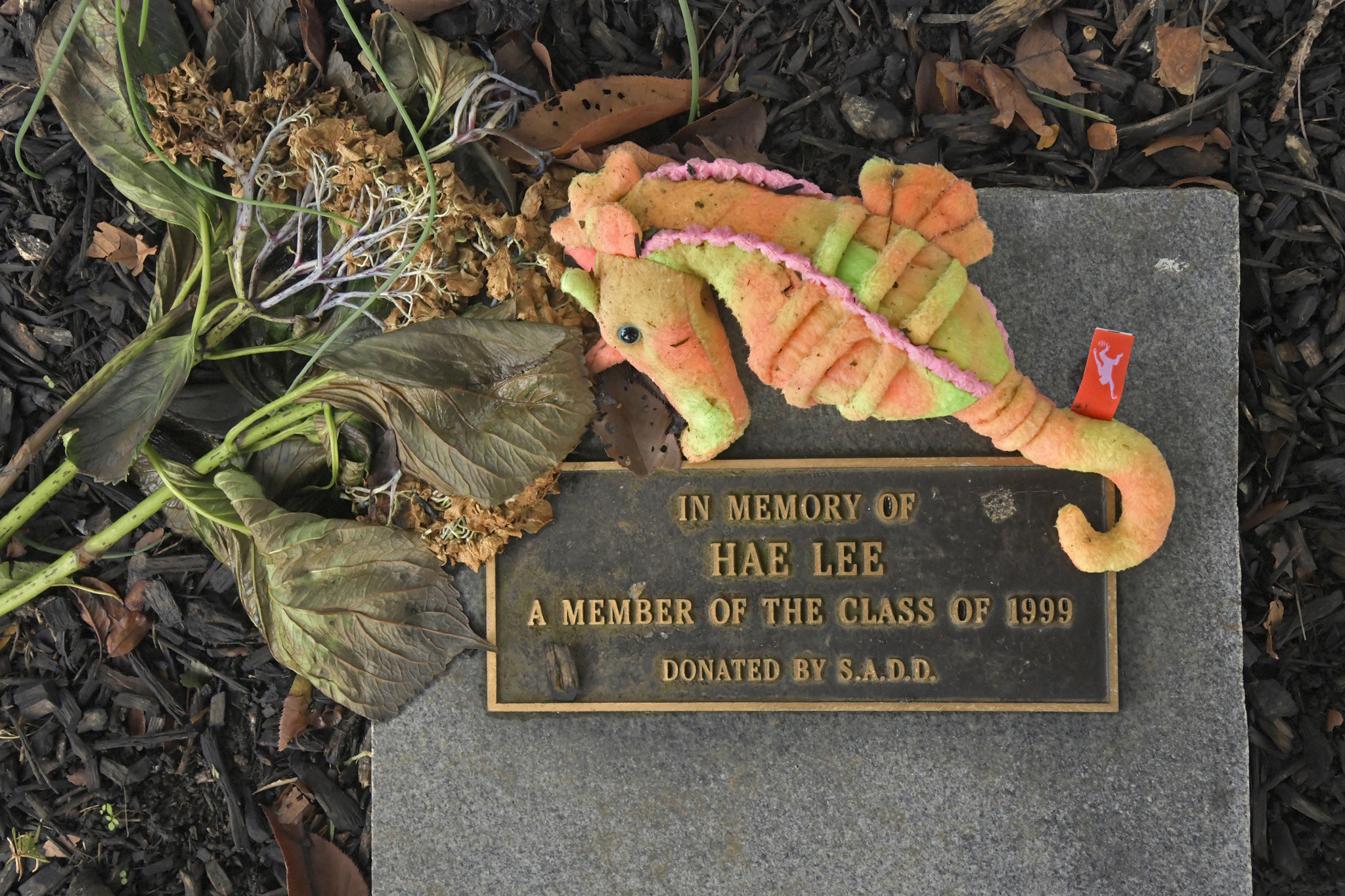 A small memorial with flowers and candles placed near a wooded area in remembrance of Hae Min Lee