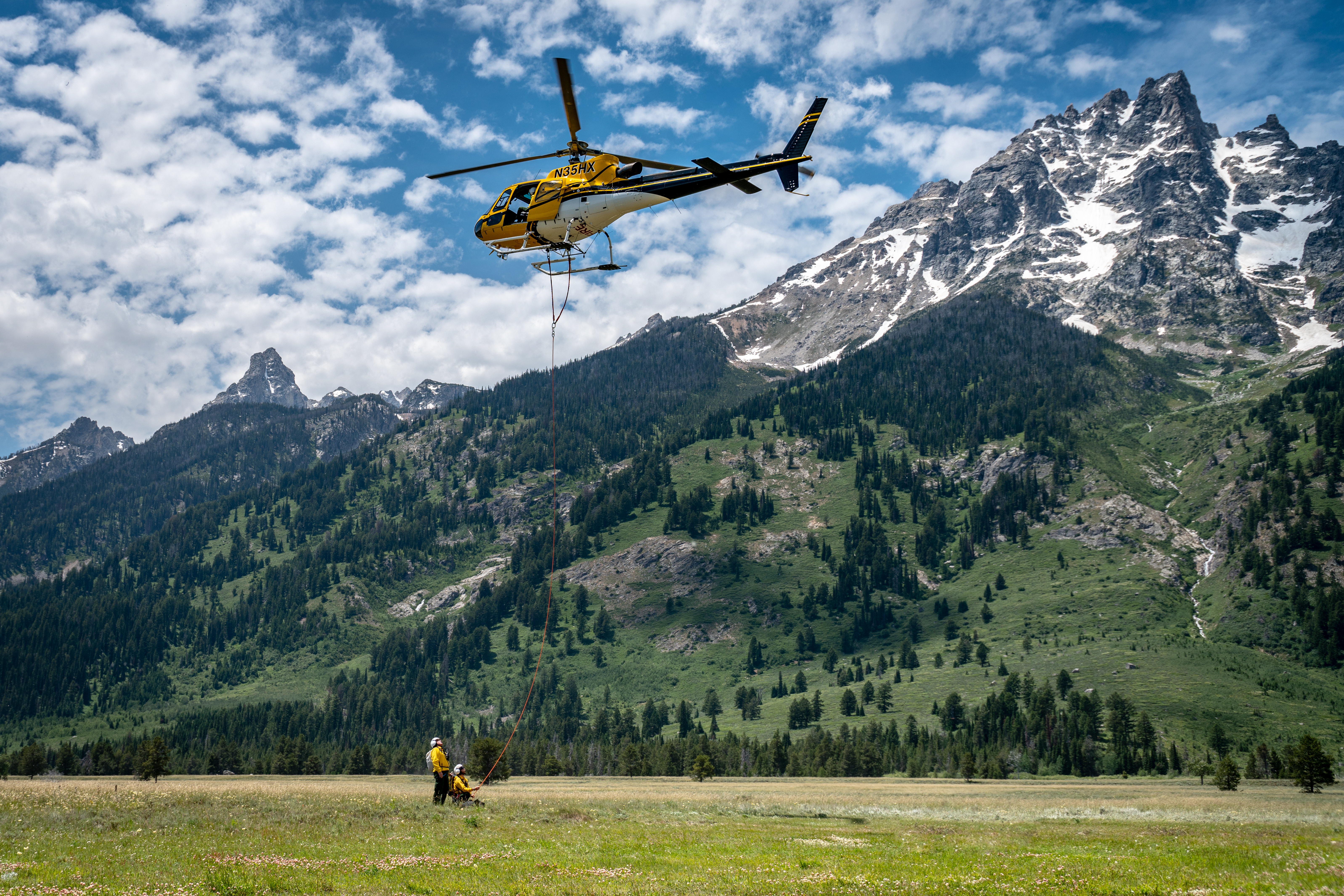 Search-and-rescue volunteers in outdoor gear walking in a line through tall grass near a tree line in Wyoming during a missing person search